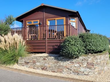 A wooden cabin with a balcony surrounded by bushes and ornamental grass at Laurel Lodge Bossiney Bay Holiday Park near Tintagel