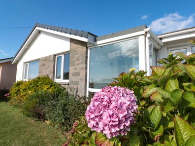 Exterior view of a house with a garden featuring green bushes and a pink flower at 33 Weymouth Park in Hope Cove