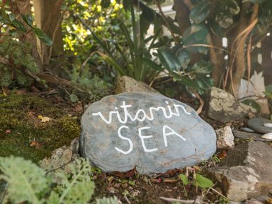 A garden area with a rock painted with the words vitamin SEA surrounded by plants and moss at 33 Weymouth Park in Hope Cove