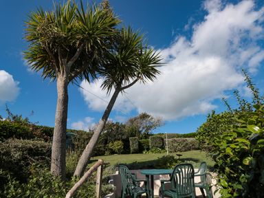 A garden with plastic chairs and table under palm trees at 33 Weymouth Park in Hope Cove