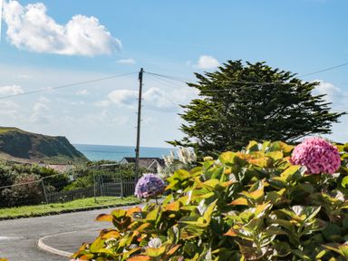 A coastal view with flowers bushes a tree and power lines at 33 Weymouth Park in Hope Cove