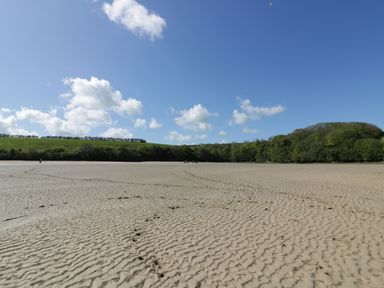 A sandy beach with footprints leading towards trees and grassy hills under a blue sky with clouds at Estuary View in Newquay