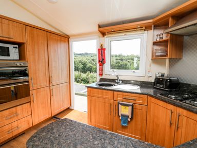 A kitchen with wooden cabinets a countertop with a sink a microwave oven a toaster and a gas stove at The Lodge in Pontyates