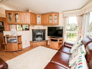 A living room with a brown leather sofa, a television on a wooden stand, a fireplace, wooden cabinets, and large windows with curtains at The Lodge in Pontyates