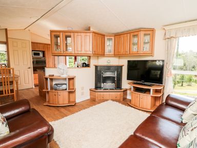 A living room with two brown leather sofas a white rug a television and wooden cabinets at The Lodge in Pontyates