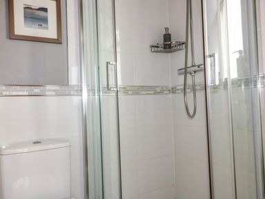 A bathroom with a shower enclosure a toilet a soap dispenser and a framed picture on the wall at Hazel Cottage in Tintagel