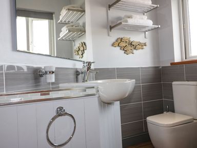 A bathroom with a sink toilet mirror towel rack and wooden fish decoration at Hazel Cottage in Tintagel