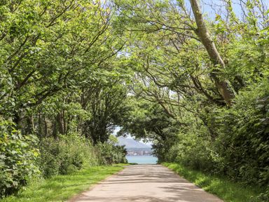 A tree-lined path leading to water with a town and hills in the distance at Tal Gwynedd in Dwyran near Newborough