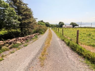 A gravel driveway with grass in the middle running between green fields trees and a stone wall leading to a house near the coast at Lack Cottage Annascaul near Camp County Kerry