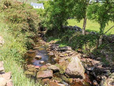 A small rocky stream surrounded by trees grass and shrubs with a white house in the background at Lack Cottage in Annascaul near Camp County Kerry