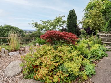 A garden with various plants and trees beside a stone pathway and wooden fence at The Tack Room in Lydney