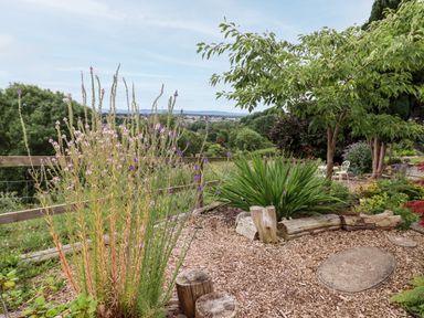 A garden area with plants flowers and wood chips with a wooden fence and trees at The Tack Room in Lydney