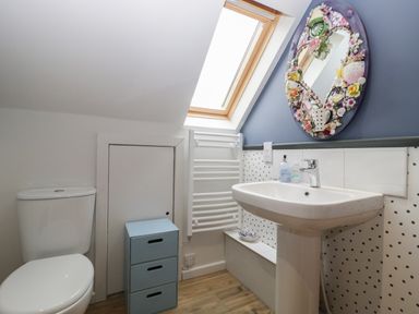 A bathroom with a toilet sink and decorative mirror at The Courtyard - Hilltop Barn in Winterborne Zelston near Wareham