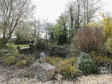 A garden pond surrounded by trees bushes and rocks at The Courtyard - Hilltop Barn in Winterborne Zelston near Wareham