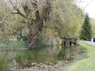 A river with a large tree on the bank and a small bridge over the water at The Courtyard - Hilltop Barn Winterborne Zelston near Wareham