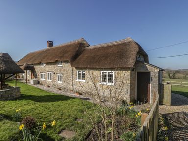 A stone cottage with a thatched roof and garden in front at Field View in Curland near Taunton
