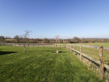A fenced grassy garden area with small trees and a bird bath at Field View in Curland near Taunton