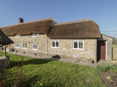 A stone cottage with a thatched roof and white framed windows next to a garden with grass and flowers at Field View in Curland near Taunton