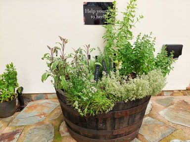 A wooden barrel planter with various herbs on a stone patio at Pumphouse Cottage in Uffculme