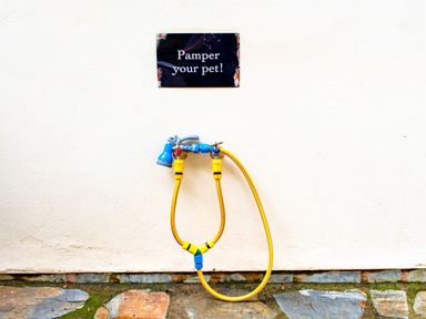 A wall-mounted hose with a yellow hose and two blue nozzle attachments below a sign that says pamper your pet