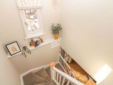 A stairwell with carpeted stairs a window and a shelf holding books plants and a framed picture at Pumphouse Cottage in Uffculme
