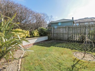 A garden with grass a small tree a wooden fence and plants at Cushat House Stamford near Embleton