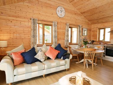 A wooden interior living room with a striped sofa and colorful cushions at The Larches Van near Llanidloes
