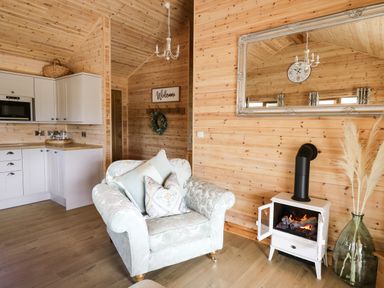 An armchair with cushions next to a white stove and large mirror in a wooden room at The Larches Van near Llanidloes