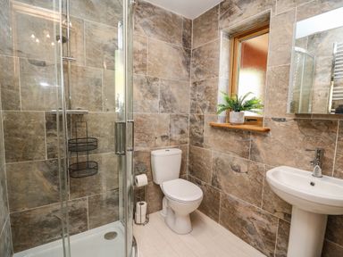 A bathroom with a shower enclosure toilet sink and a plant on the windowsill at The Larches in Van near Llanidloes