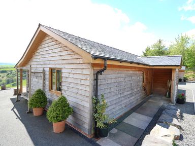 A wooden cabin with potted plants on a paved walkway at The Larches in Van near Llanidloes