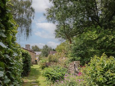 A garden pathway with plants and flowers at Jasmine Cottage South Perrott near Mosterton
