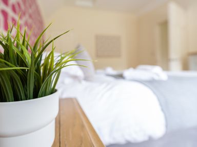 A close up of a green plant in a white pot on a wooden bedside table in a bedroom with a made bed at Hazelseat House in Graythwaite near Ulverston