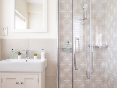 A bathroom with a sink, mirror, potted plants, soap dispensers, and a shower with patterned tiles at Hazelseat House in Graythwaite near Ulverston