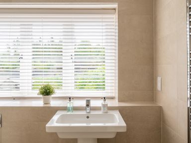 A bathroom sink with soap dispensers and a small plant on the windowsill at Hazelseat House in Graythwaite near Ulverston