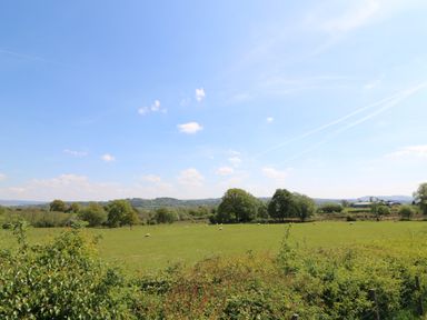 A field with sheep and trees under a blue sky at Kerry Hill - The Sheepfold in Llanyre near Llandrindod Wells