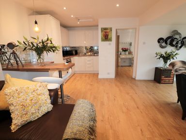 An open living area with a kitchen counter stool and sofa with cushions and plants at Swale Cottage in Beadnell