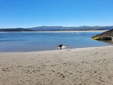 A sandy beach with a dog playing in the shallow water and hills in the background at Bryn Derfel in Borth-y-Gest near Porthmadog