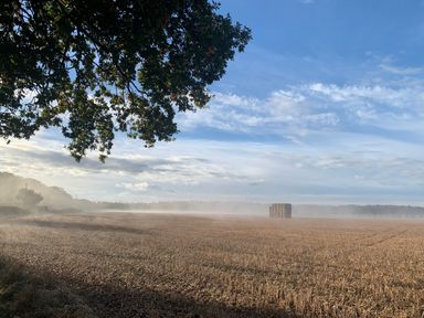 A field with hay bales and mist under a blue sky with tree branches in the foreground at The Little Hay Barn in Bacton