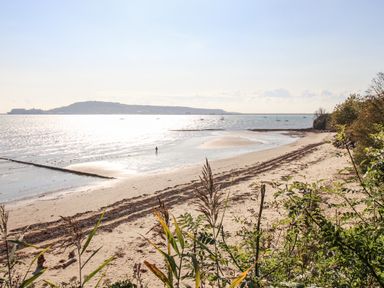 A sandy beach with seaweed lines and vegetation in the foreground with a person walking near the shoreline and boats on the water at Castle Cove View in Castle Cove