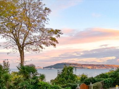 A coastal view with trees in the foreground and a hill across the water at Castle Cove View in Castle Cove