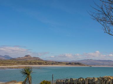 A coastal landscape with water, hills, and a palm tree at Awel Y Mor in Criccieth