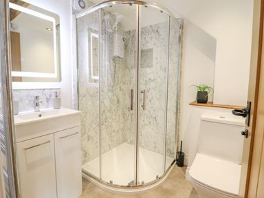 A bathroom with a shower enclosure sink with cabinet mirror and toilet with plant on wooden shelf at Plas Iolyn in Pentrefoelas near Betws Y Coed
