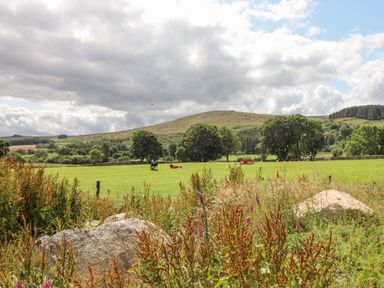 A green field with cows and trees under a cloudy sky at Plas Iolyn in Pentrefoelas near Betws-Y-Coed