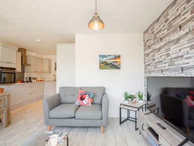 A living room with a gray sofa and a colorful pillow a TV on a wooden stand and a kitchen area in the background at Sea View in Llanfaelog
