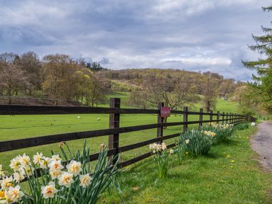 A countryside scene with a wooden fence alongside a path and flowers at Home Farmhouse Graythwaite near Hawkshead