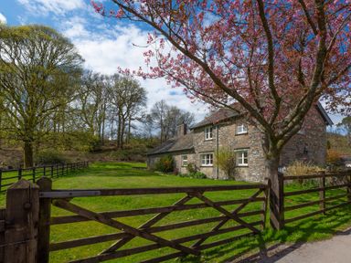 Stone house with fenced grassy yard and pink blossoming tree at Home Farmhouse in Graythwaite near Hawkshead