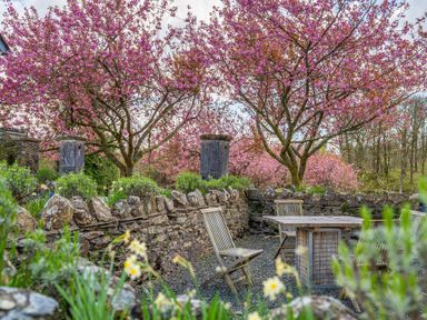 A garden seating area with wooden chairs and table surrounded by stone walls and pink blossom trees at Home Farmhouse Graythwaite near Hawkshead