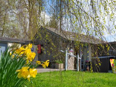 A stone building with a small shop entrance yellow flowers and a green lawn at Home Farmhouse Graythwaite near Hawkshead