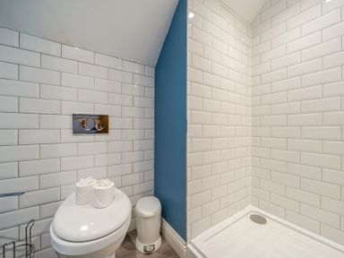 A bathroom with a toilet and shower at Home Farmhouse at the Graythwaite Estate near Hawkshead