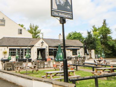 An outdoor seating area with wooden benches tables and green umbrellas in front of a white building with signs reading The Wellington